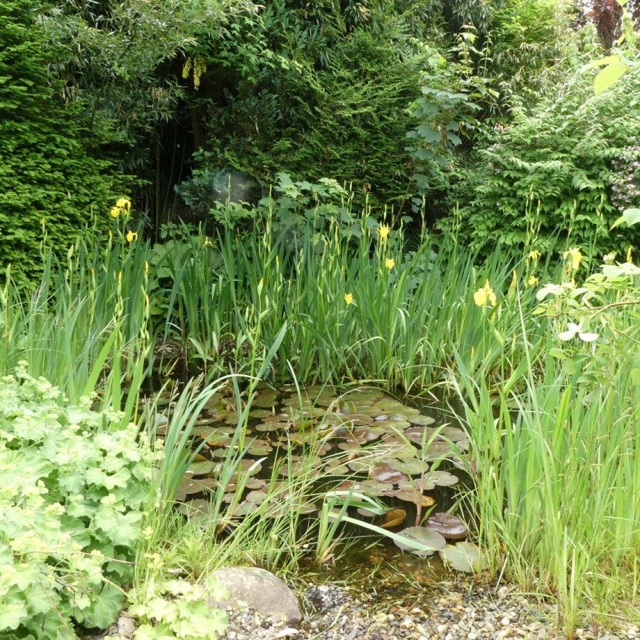 Gartenteich Bungalow Erkerode