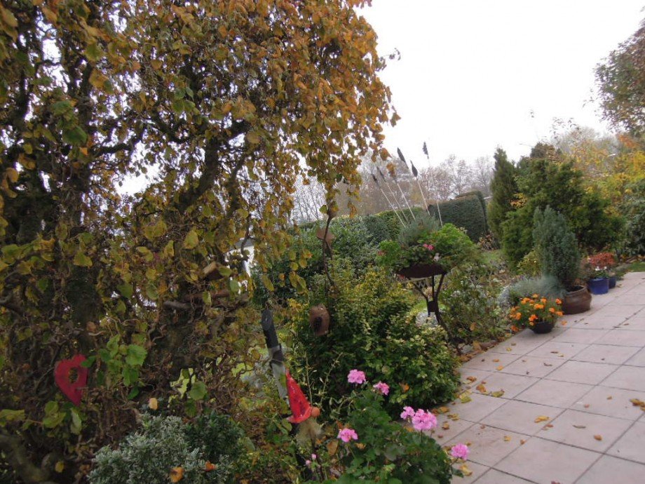 Terrasse Gartenbereich Reihenendhaus Salzgitter Lebenstedt