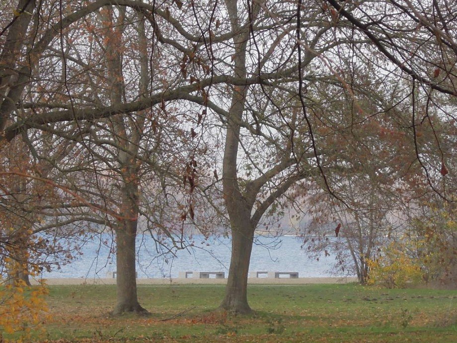 Ausblick See Reihenendhaus Salzgitter Lebenstedt
