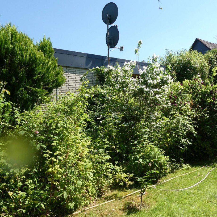 Bungalow Erkerode