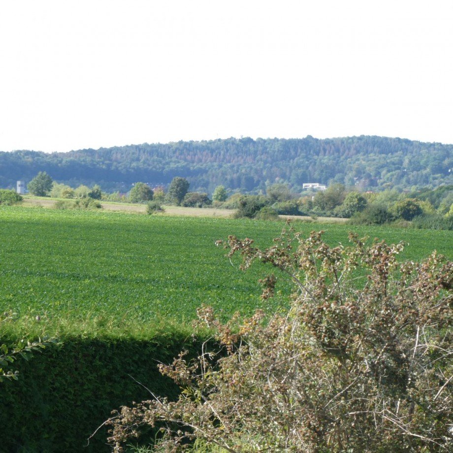 Ausblick in die Weite Einfamilienhaus Gro� Mahner Salzgitter